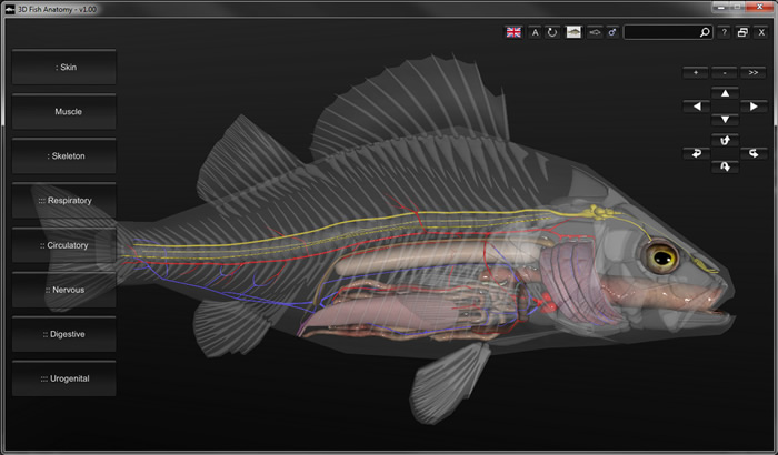 Mesa Interativa de Anatomia Veterinária Digital